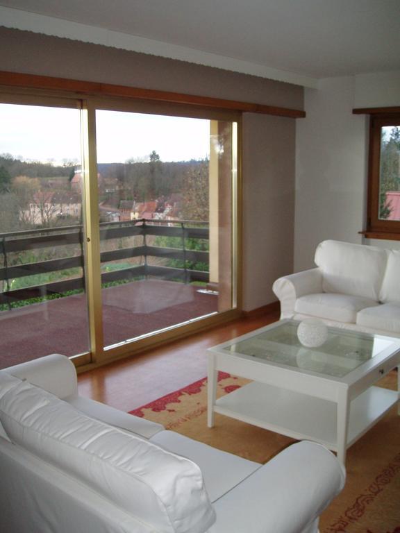 Villa Du Lion D'Or La Petite-Pierre Rom bilde